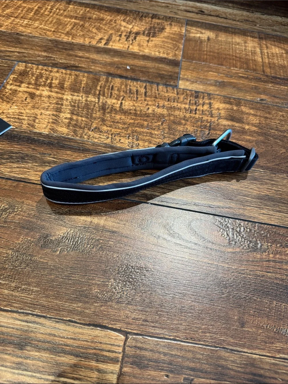 Non-stop Dogwear Roam collar/ black